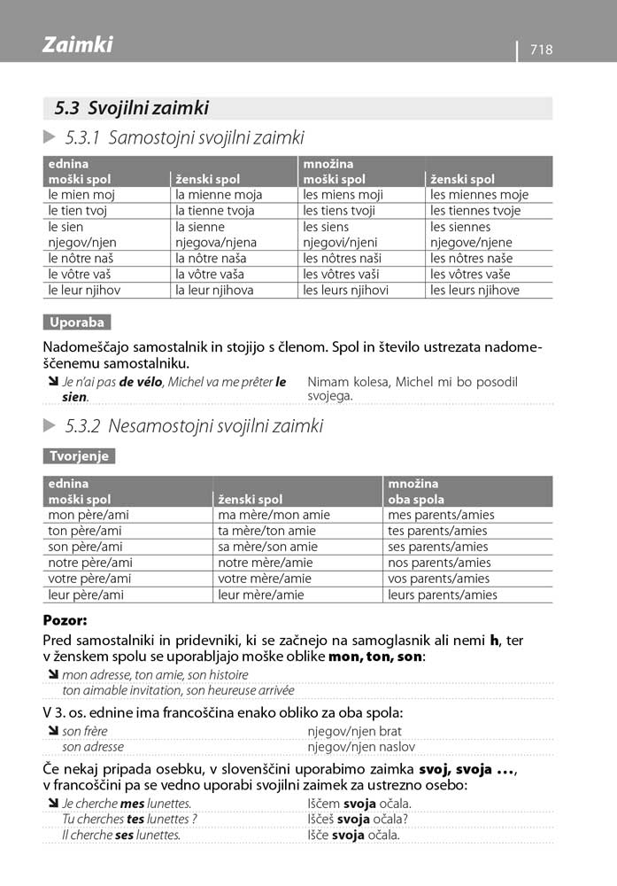 Francosko-slovenski in slovensko-francoski spretni slovar